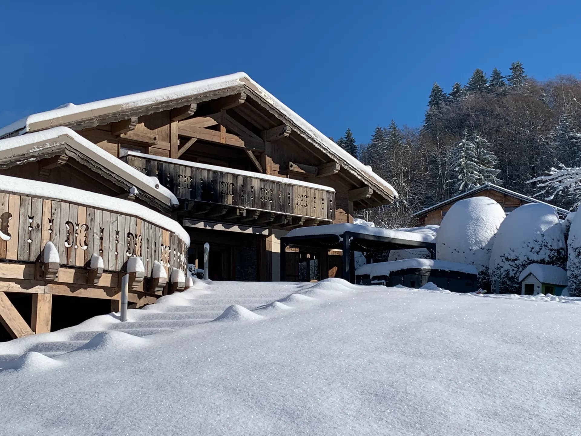 Chalet Balmotte